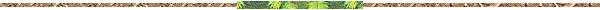 Divider